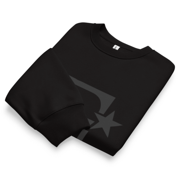FN Oversized heavyweight sweatshirt - Image 5