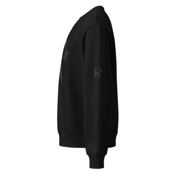 FN Oversized heavyweight sweatshirt - Image 3