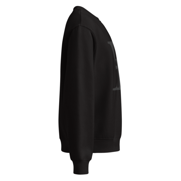 FN Oversized heavyweight sweatshirt - Image 4